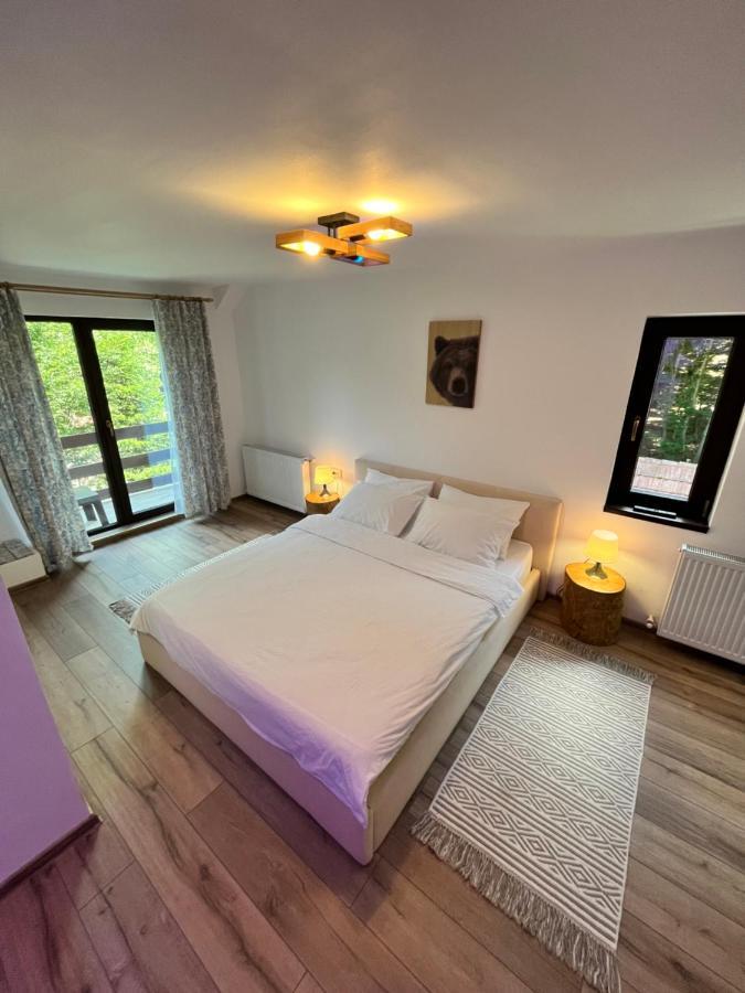Hotel Cabana Din Padure à Porumbacu de Sus Extérieur photo