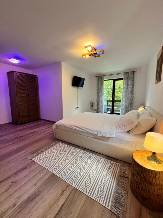 Hotel Cabana Din Padure à Porumbacu de Sus Extérieur photo