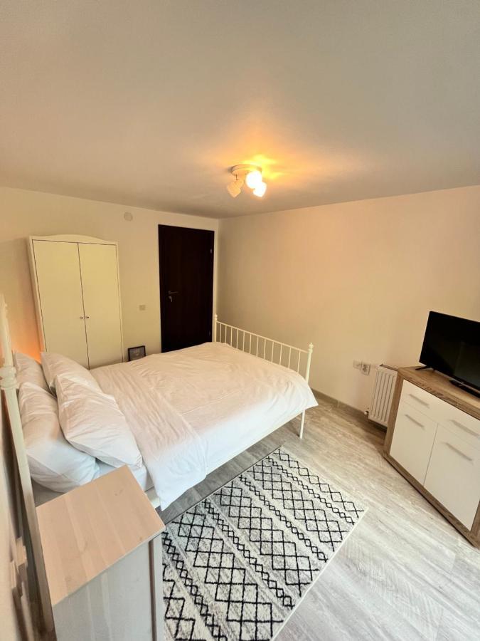 Hotel Cabana Din Padure à Porumbacu de Sus Extérieur photo