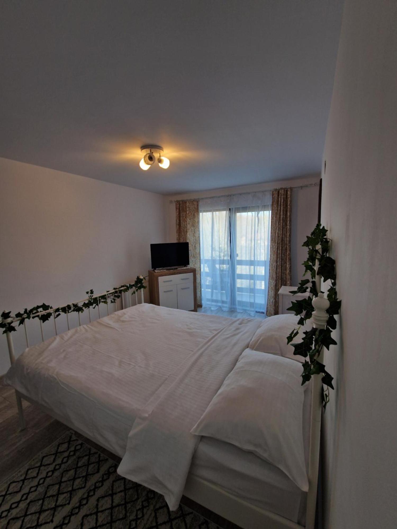 Hotel Cabana Din Padure à Porumbacu de Sus Extérieur photo