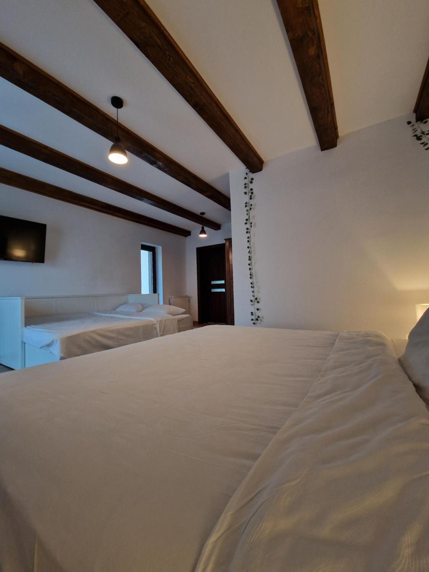 Hotel Cabana Din Padure à Porumbacu de Sus Extérieur photo